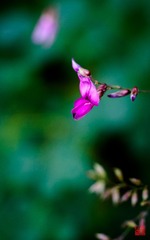 IMG_0073.jpg
