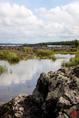 IMG_0275.jpg