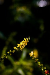 IMG_0305.jpg