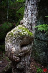 IMG_0331.jpg
