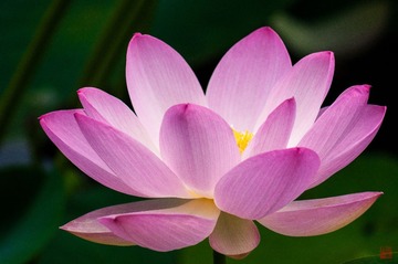 DSC00014-编辑