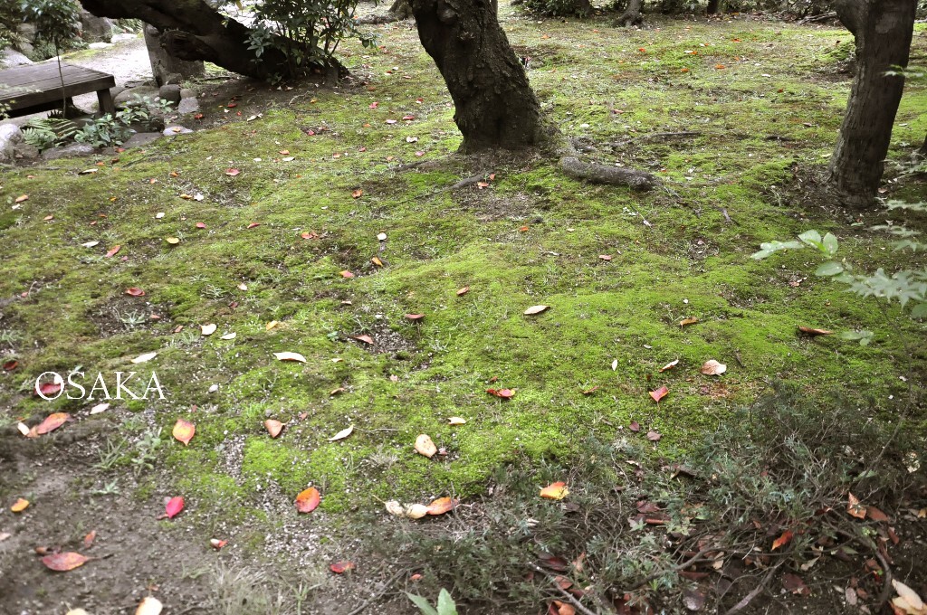 四天王寺，本坊庭园。