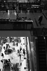 R0010947.JPG