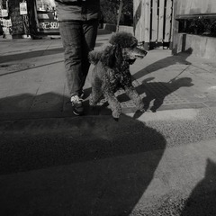 R0012291.JPG
