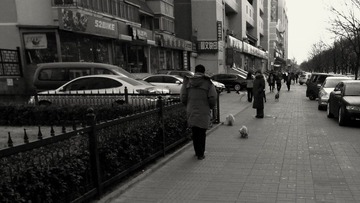 R0012776.JPG