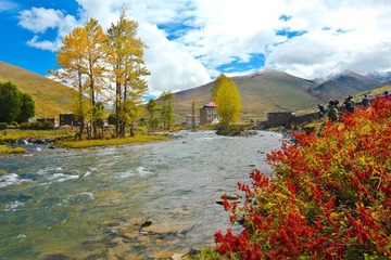 IMG_2599.jpg