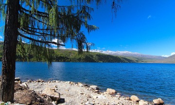 IMG_2933.jpg