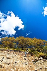 IMG_2961.jpg