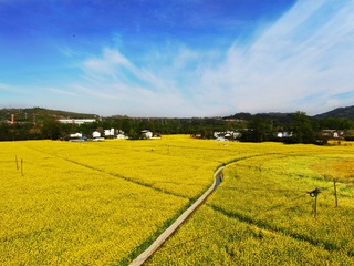 814EB5D3-8CF8-4AE6-91B7-C5CCBB3D8D61/L0/001