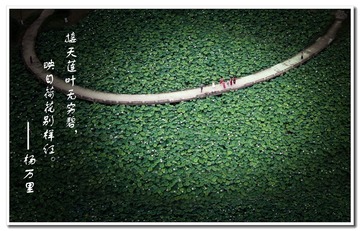 7E90A902-95AD-452B-9E03-AD3884DBA4FD/L0/001
