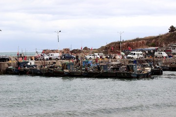 1754726