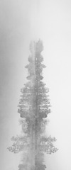 9D385692-0B21-4665-98E2-A5D47470DC9E/L0/001