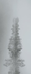 9D385692-0B21-4665-98E2-A5D47470DC9E/L0/001
