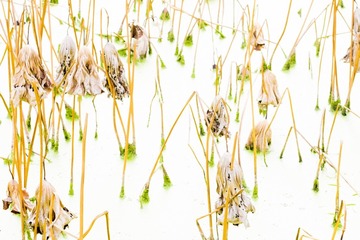 DSCF5679_调整大小
