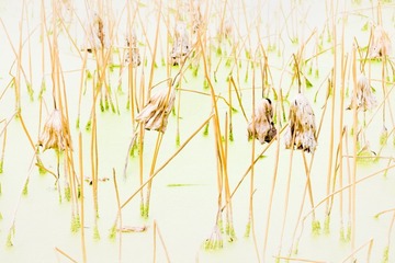 DSCF5652_调整大小