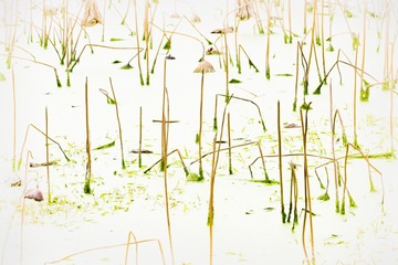 DSCF5688_调整大小