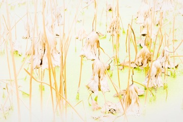 DSCF5670_调整大小