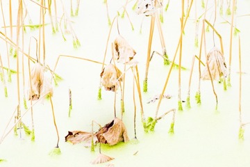 DSCF5647_调整大小