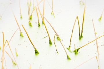 DSCF5676_调整大小