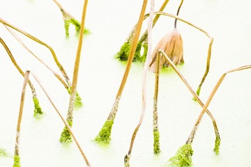DSCF5637_调整大小