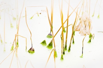 DSCF5674_调整大小