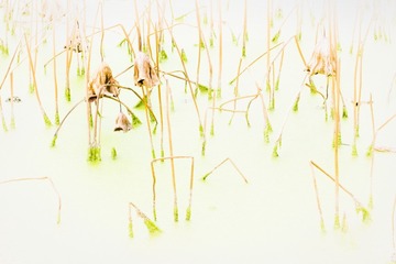 DSCF5648_调整大小
