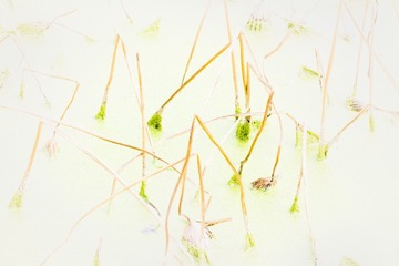 DSCF5678_调整大小