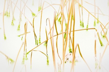 DSCF5634_调整大小