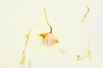 DSCF5641_调整大小