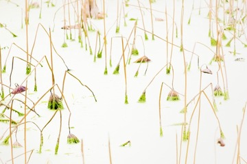 DSCF5627_调整大小