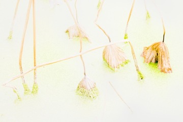 DSCF5645_调整大小