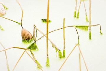 DSCF5625_调整大小