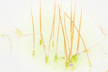 DSCF5663_调整大小