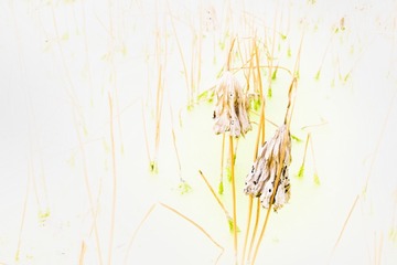 DSCF5656_调整大小
