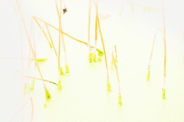 DSCF5666_调整大小