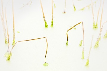 DSCF5639_调整大小