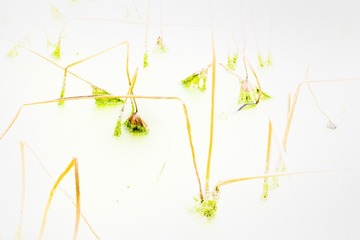 DSCF5682_调整大小