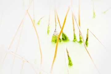 DSCF5681_调整大小