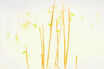 DSCF5665_调整大小
