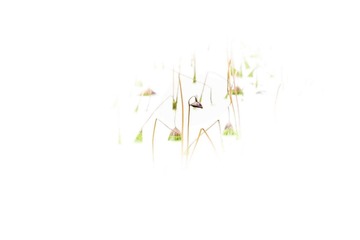 DSCF5619_调整大小
