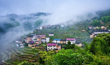 _MG_0013 (2)