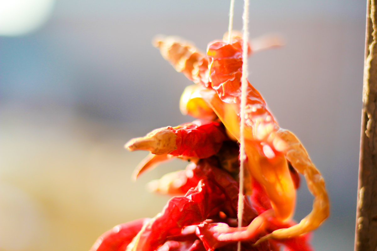 疫情期间拍辣椒