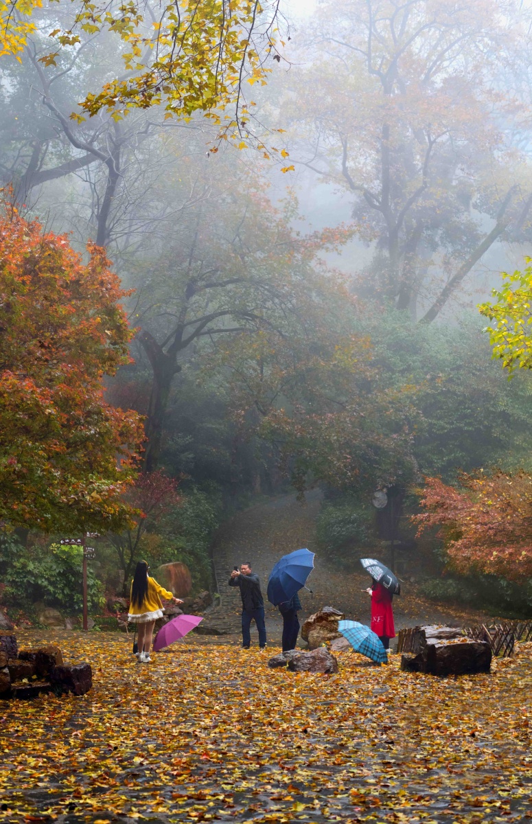 岳簏山的秋雨如烟如梦
