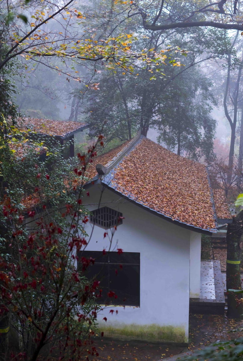 岳簏山的秋雨如烟如梦