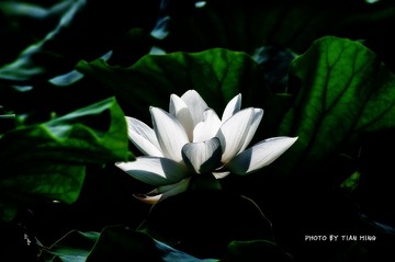 DSC3_5811