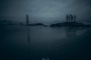 2323392
