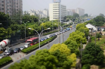 _DSC8897