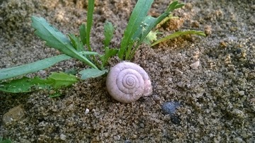 130672