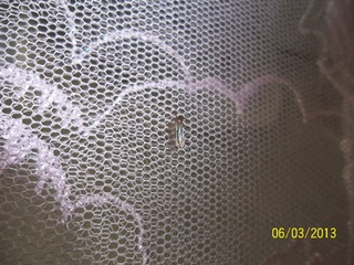 100_3888.jpg