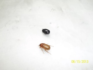 100_4313.jpg